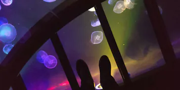 すみだ水族館に投稿された画像（2022/1/10）