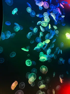 すみだ水族館に投稿された画像（2022/1/10）