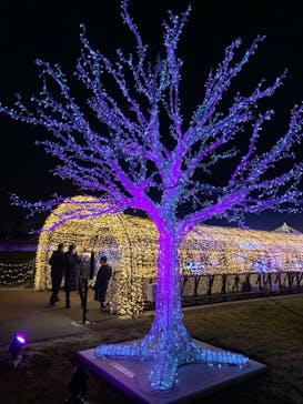 東京メガイルミに投稿された画像（2022/1/10）
