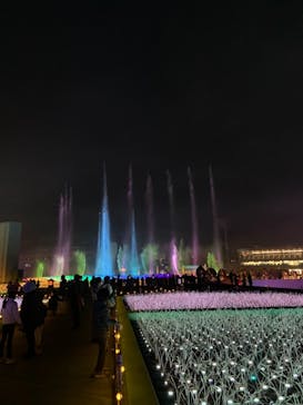 東京メガイルミに投稿された画像（2022/1/10）