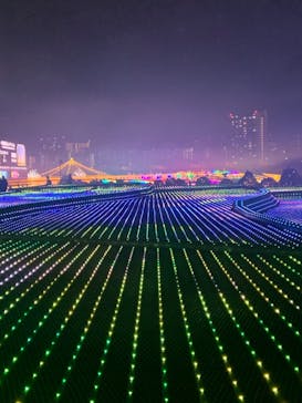 東京メガイルミに投稿された画像（2022/1/10）