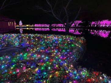 東武動物公園に投稿された画像（2022/1/10）