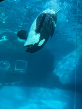 名古屋港水族館に投稿された画像（2022/1/10）