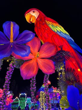 伊豆ぐらんぱる公園に投稿された画像（2022/1/10）