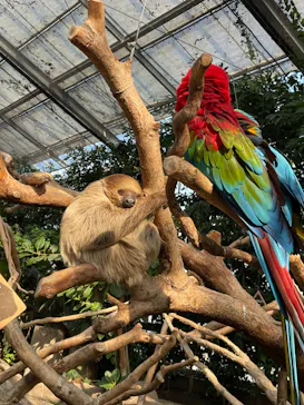 神戸どうぶつ王国に投稿された画像（2022/1/10）