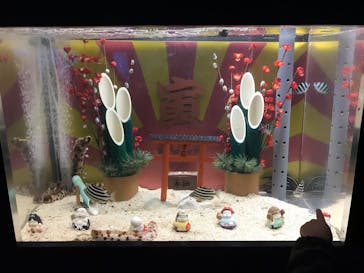 串本海中公園水族館に投稿された画像（2022/1/10）