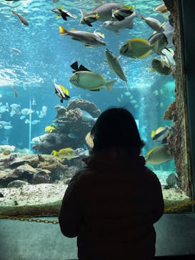 串本海中公園水族館に投稿された画像（2022/1/10）