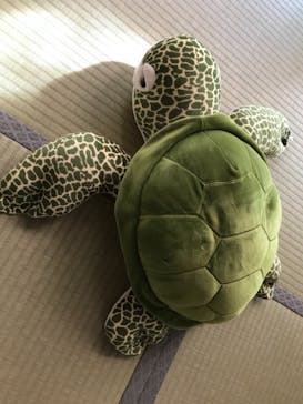 串本海中公園水族館に投稿された画像（2022/1/10）