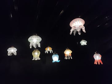 京都水族館に投稿された画像（2022/1/10）