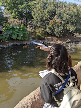 神戸どうぶつ王国に投稿された画像（2022/1/10）