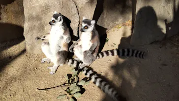 神戸どうぶつ王国に投稿された画像（2022/1/10）