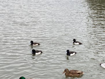 三溪園に投稿された画像（2022/1/10）