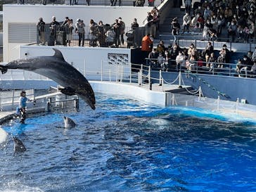 京都水族館に投稿された画像（2022/1/10）
