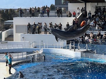 京都水族館に投稿された画像（2022/1/10）