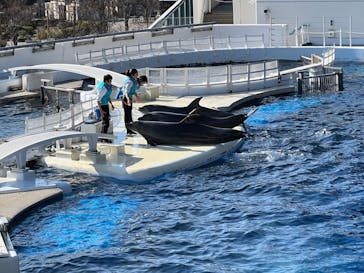 京都水族館に投稿された画像（2022/1/10）