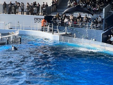 京都水族館に投稿された画像（2022/1/10）