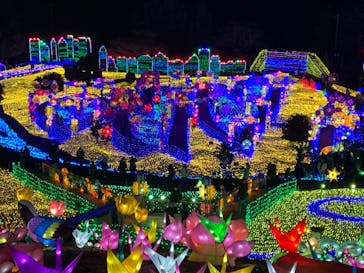 伊豆ぐらんぱる公園に投稿された画像（2022/1/10）