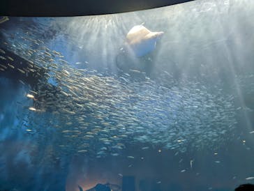 名古屋港水族館に投稿された画像（2022/1/10）