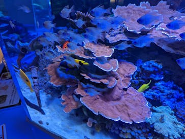 名古屋港水族館に投稿された画像（2022/1/10）