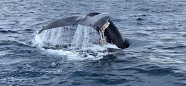 Sea World（シーワールド）に投稿された画像（2022/1/10）