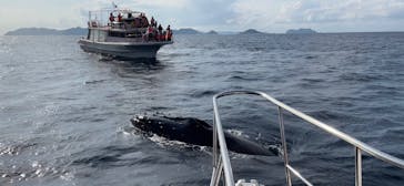 Sea World（シーワールド）に投稿された画像（2022/1/10）