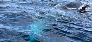 Sea World（シーワールド）に投稿された画像（2022/1/10）