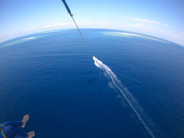 Sea World（シーワールド）に投稿された画像（2022/1/10）