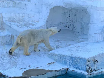 天王寺動物園に投稿された画像（2022/1/10）