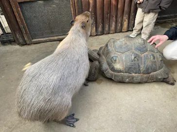 神戸どうぶつ王国に投稿された画像（2022/1/10）