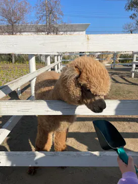 神戸どうぶつ王国に投稿された画像（2022/1/10）