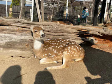 神戸どうぶつ王国に投稿された画像（2022/1/10）