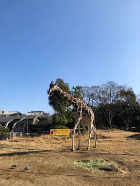 天王寺動物園に投稿された画像（2022/1/10）