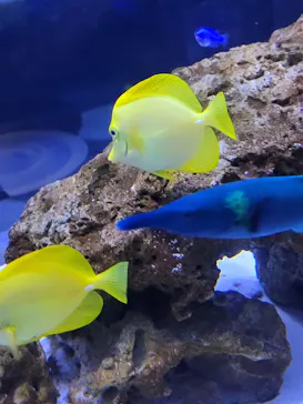 すみだ水族館に投稿された画像（2022/1/10）