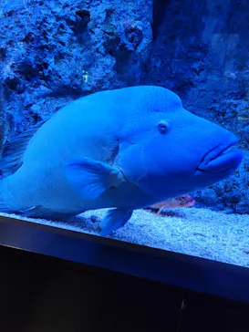 すみだ水族館に投稿された画像（2022/1/10）