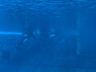 名古屋港水族館に投稿された画像（2022/1/10）