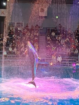 マクセル アクアパーク品川に投稿された画像（2022/1/10）