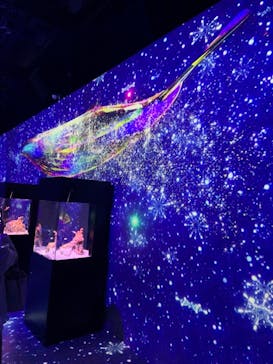 マクセル アクアパーク品川に投稿された画像（2022/1/10）