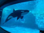 名古屋港水族館に投稿された画像（2022/1/10）