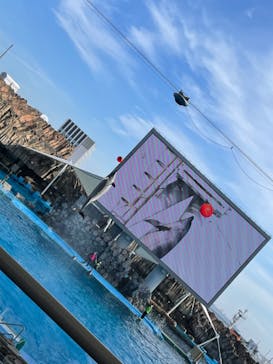 名古屋港水族館に投稿された画像（2022/1/10）
