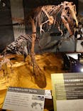 ティラノサウルス展 ～Ｔ. rex 驚異の肉食恐竜～（名古屋市科学館）に投稿された画像（2022/1/10）