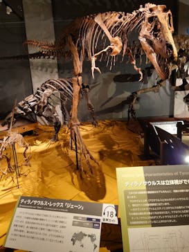 ティラノサウルス展 ～Ｔ. rex 驚異の肉食恐竜～（名古屋市科学館）に投稿された画像（2022/1/10）