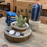 SWING BY（スウィング バイ）に投稿された画像（2022/1/10）