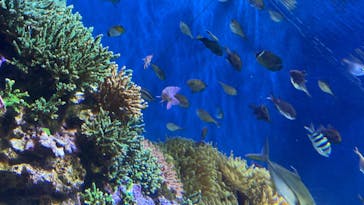 伊豆・三津シーパラダイスに投稿された画像（2022/1/10）