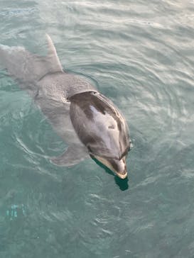 伊豆・三津シーパラダイスに投稿された画像（2022/1/10）