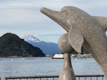 伊豆・三津シーパラダイスに投稿された画像（2022/1/10）