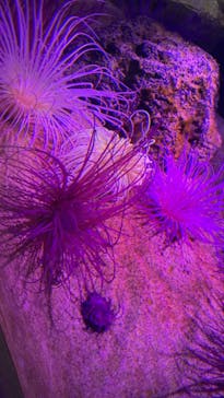 伊豆・三津シーパラダイスに投稿された画像（2022/1/10）