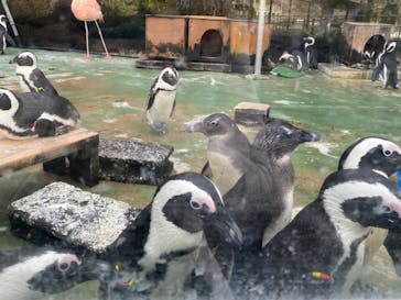 伊豆・三津シーパラダイスに投稿された画像（2022/1/10）