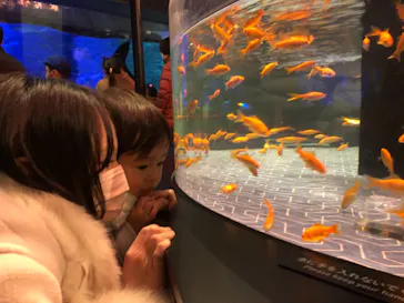 すみだ水族館に投稿された画像（2022/1/10）