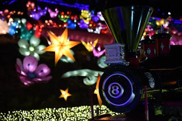 伊豆ぐらんぱる公園に投稿された画像（2022/1/10）