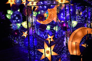 伊豆ぐらんぱる公園に投稿された画像（2022/1/10）